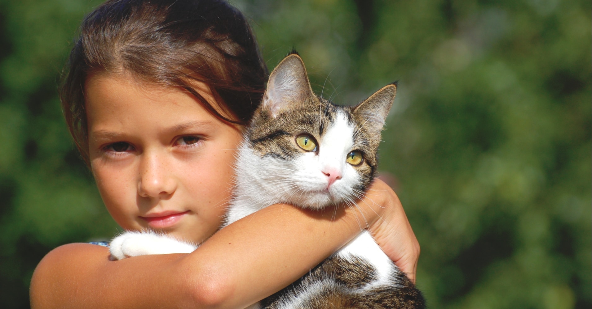 10 Signs Your Cat Secretly Adores You